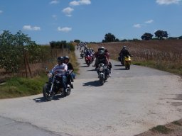 XVIII Concentracion - 2011